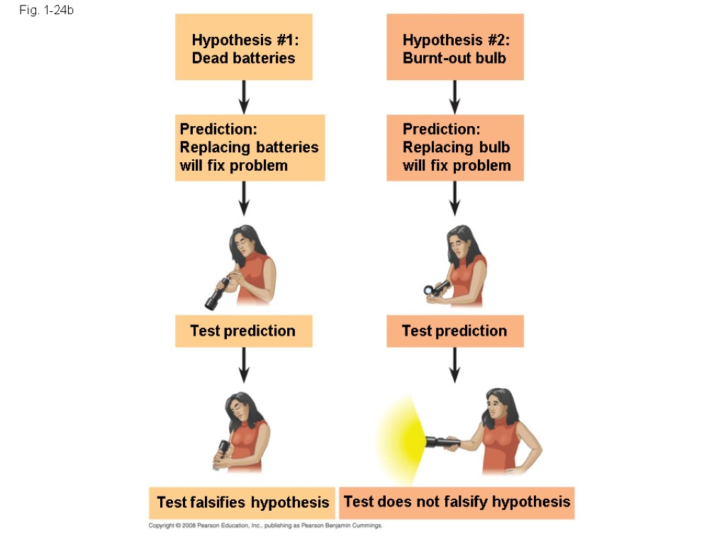 Fig. 1-24b Test prediction Hypothesis #1: Dead batteries Hypothesis #2: Burnt-out bulb Test prediction